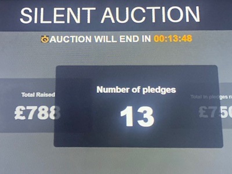 NEW FEATURE! Pledge and Bid Summary